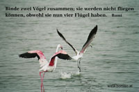 Sprüche 1